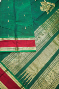 Thumbnail for Kanchi Cotton Handloom Saree